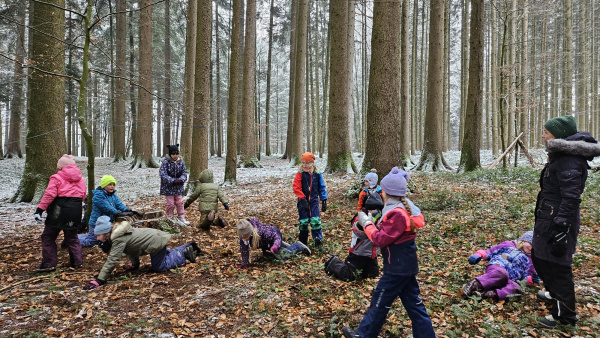 Volksschule Palting - 4. Klasse (Herr Krammer) - Waldtage